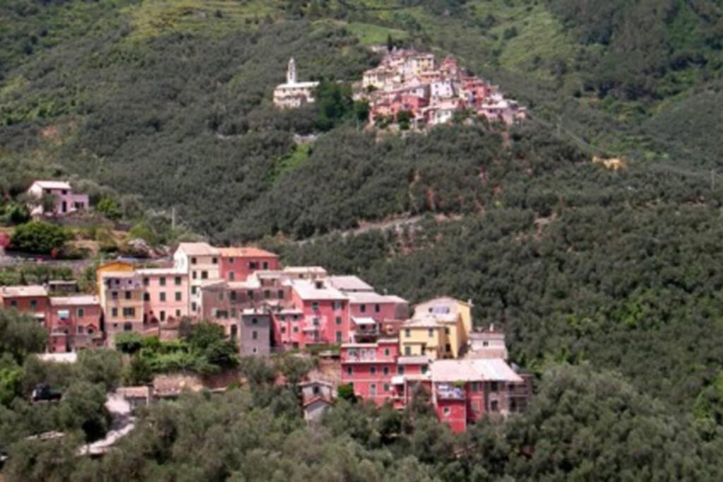 Le Case Della Lizza - Casa Verde Levanto Zewnętrze zdjęcie